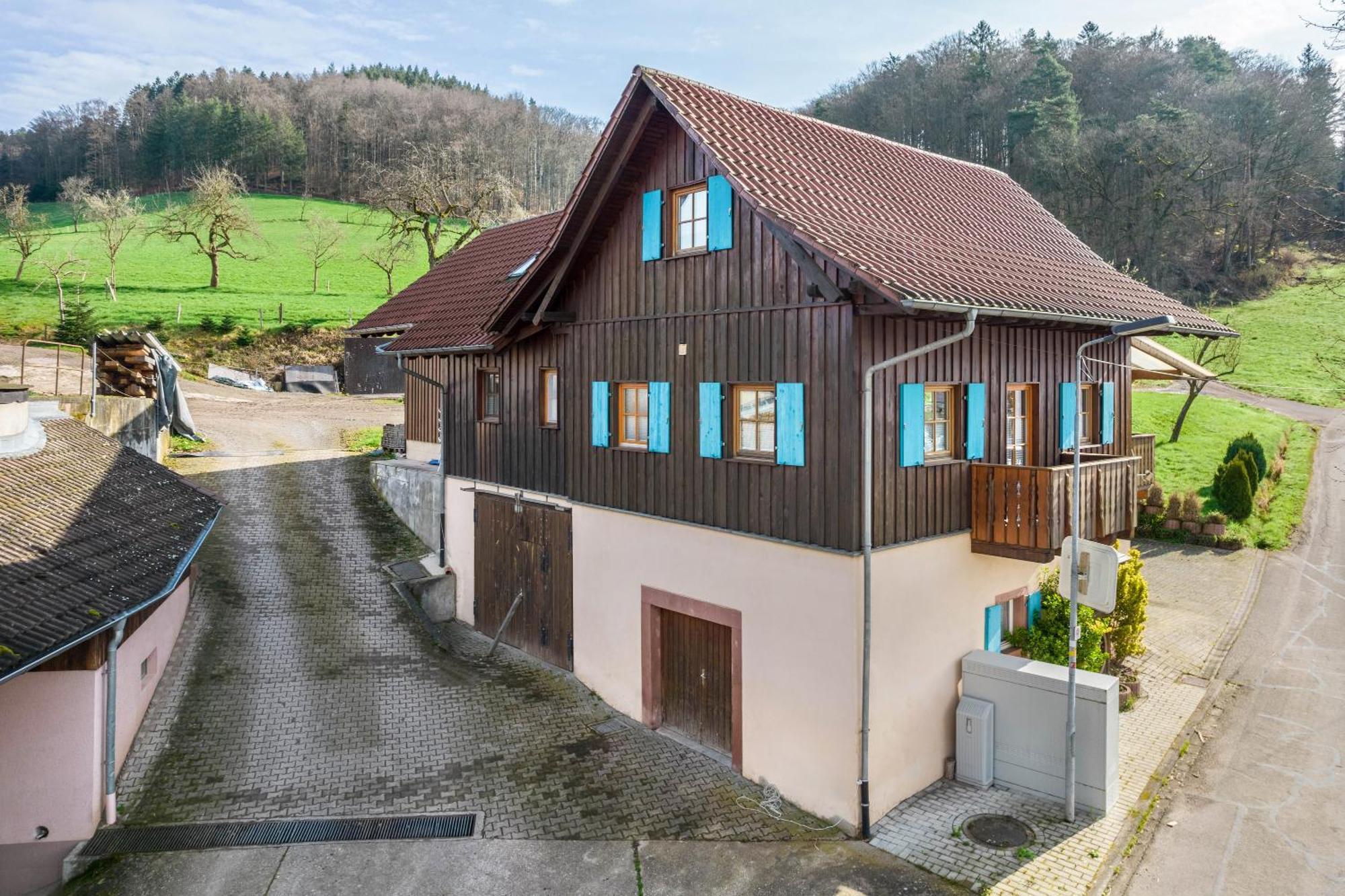 Ziegelhof Apartment Schuttertal Exterior photo